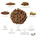 UGF - Insektenmischung mit Gammarus - 80g im 500 Milliliter Eimer, Igelfutter, Rennmausfutter, Hamsterfutter, Rattenfutter, Eidechsenfutter - Mehlwürmer, Soldatenfliegenlarven, Seidenraupen, Gammarus