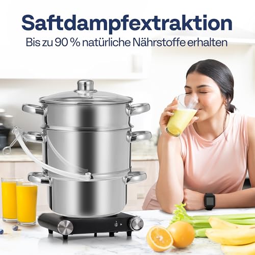 VIVOHOME 5L Dampfentsafter aus Edelstahl mit Glasdeckel Entsafter Kochtopf – Ansicht 5