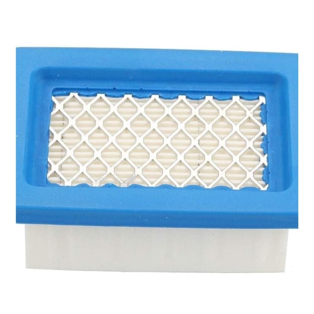 Filtre à air A226000032 pour nettoyer les grandes allées avec le souffleur PB650