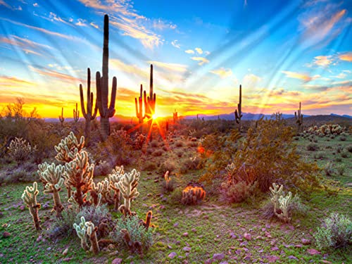 Tucocoo Arizona Desert Tapestry Saguaro Cacti Mountains Tapestries Natural Plants Tapestry Cactus Tapestry For Room #TOP19
