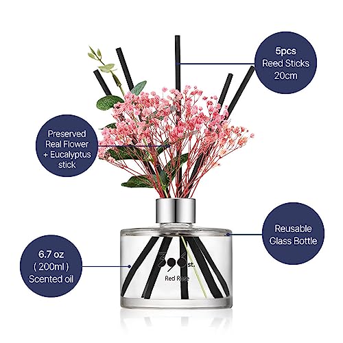 396stpreservedbabysbreathflowerreeddiffuserdarkvanillasandalwood200ml67ozreeddiffusersetsscentsyhomefragrancescentedoilshomebathroomdecor Urban Country Home Decor 396 st preserved babys breath flower reed diffuser dark vanillasandalwood 200ml67oz reed diffuser sets scentsy home fragrance scented oils home bathroom decor urban country home decor