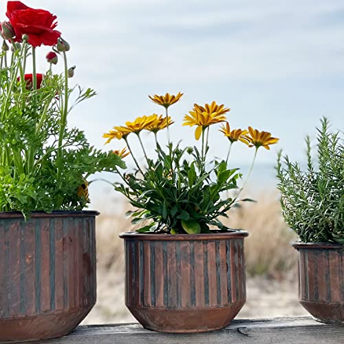 Whw Whole House Worlds Boho Gibson Round Planters, Set Of 3, Corrugated Bellies, Copper Finished Metal, Vintage Garden Patina, 8.25, 7.75, And 6.25 Inches, Cache Pots #TOP1