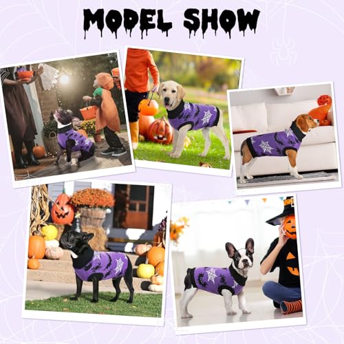 Pull d'Halloween pour chien tricoté protégeant du froid