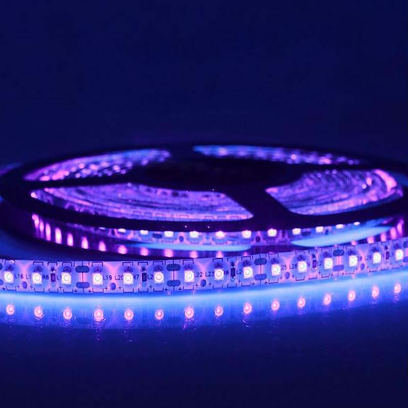 ledbox Tira LED UV Ultravioleta SMD3528, DC12V, 5m (120 Led/m) - IP65, Luz ultravioleta