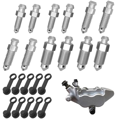 10 Pcs Vis Purge D'étrier Frein, Vis de Purge de Frein pour Motocyclette, Alliage Metall Creuses, Boulons M6x1, M7x1, M8x1,25, M10x1 et M10x1,25 avec Capuchons, Évitez les Fuites de Liquide de Frein