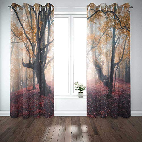 Musesh 52X63 InchÂ CurtainsÂ 2Â Panel Cool Window Curtains Blackout Curtain Panels Window Panel Curtains Beautiful Fairy in Fog Autumn Colorful Landscape Door Curtain Panels for Bedroom Living Room