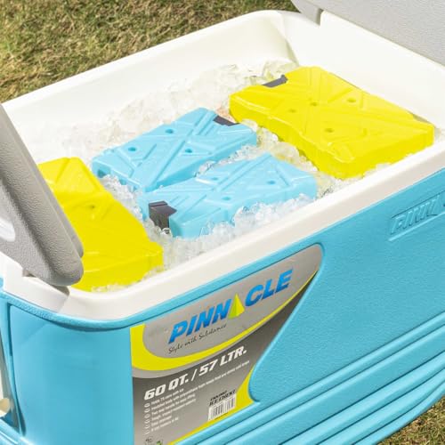 Image of Pinnacle Ice Bricks 600 ML (Pack of 2) | Ice Pack for Ice Box | Leakproof Cold Pads | Reusable Long Lasting Freezer Ice Blocks | Cooler Accessory for Camping, Travel & Picnic