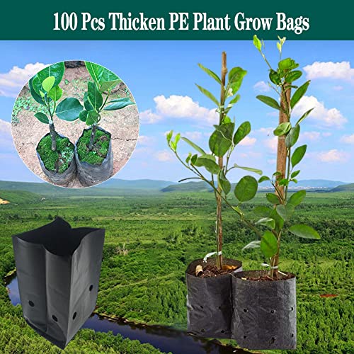 DredQcco 100PACK Plant Grow Bags,Thicken PE Seedling Bag Fruit Tree Seedling Cup Bonsai Planting Bag with Breathable Holes for Garden Black Planting Bags Nursery Bags (4.7'' Dia x 8'' H) by DredQcco - Used condition - Image 2