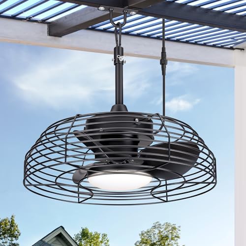 Breezary 19" Outdoor Ceiling Fan with Light and Remote, All-Weather