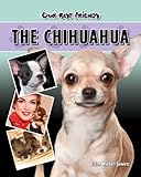  Chihuahua (Our Best Friends)