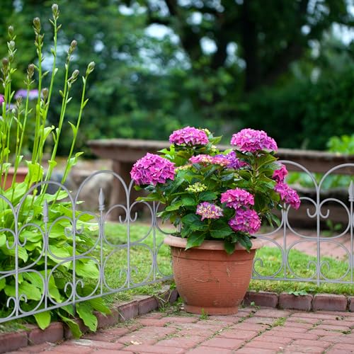 Relaxdays Beetzaun, 6er Set, HxB: je 38 x 68,5 cm, Zierzaun Garten, zum Stecken, Beeteinfassung antik, Kunststoff, grau