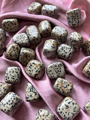 Image of Tumbled Stones, Natural Crystal Healing Stones, Home Office Decor, Aquarium Decorative Pebbles, Vase Fillers (Dalmation Jasper, 100)