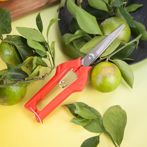 Tijeras de jardín con mango rojo y acero inoxidable miniatura 5