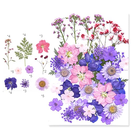 30 piezas Flores secas prensadas color púrpura para manualidades miniatura 1