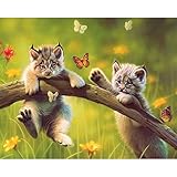 ❤ MEJOR REGALO: la pintura de diamante 5D también es la mejor opción para enviar a su familia y amigos como regalo para expresar sus mejores deseos, como regalo de Navidad, regalo de cumpleaños, regalo de boda, regalo de festival, etc. Tenga en cuenta que el marco no está incluido. Consígalo enmarcado en una tienda local como decoración de pared si lo desea.