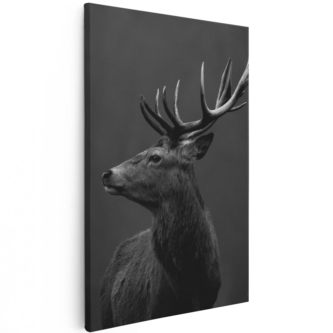 Artaza Cuadros Decoración Salón Modernos Ciervo - 40x60 cm - Cuadros Decorativos Blanco Y Negro - Decoración Pared - Lienzo Animales - Cuadro Cornamenta