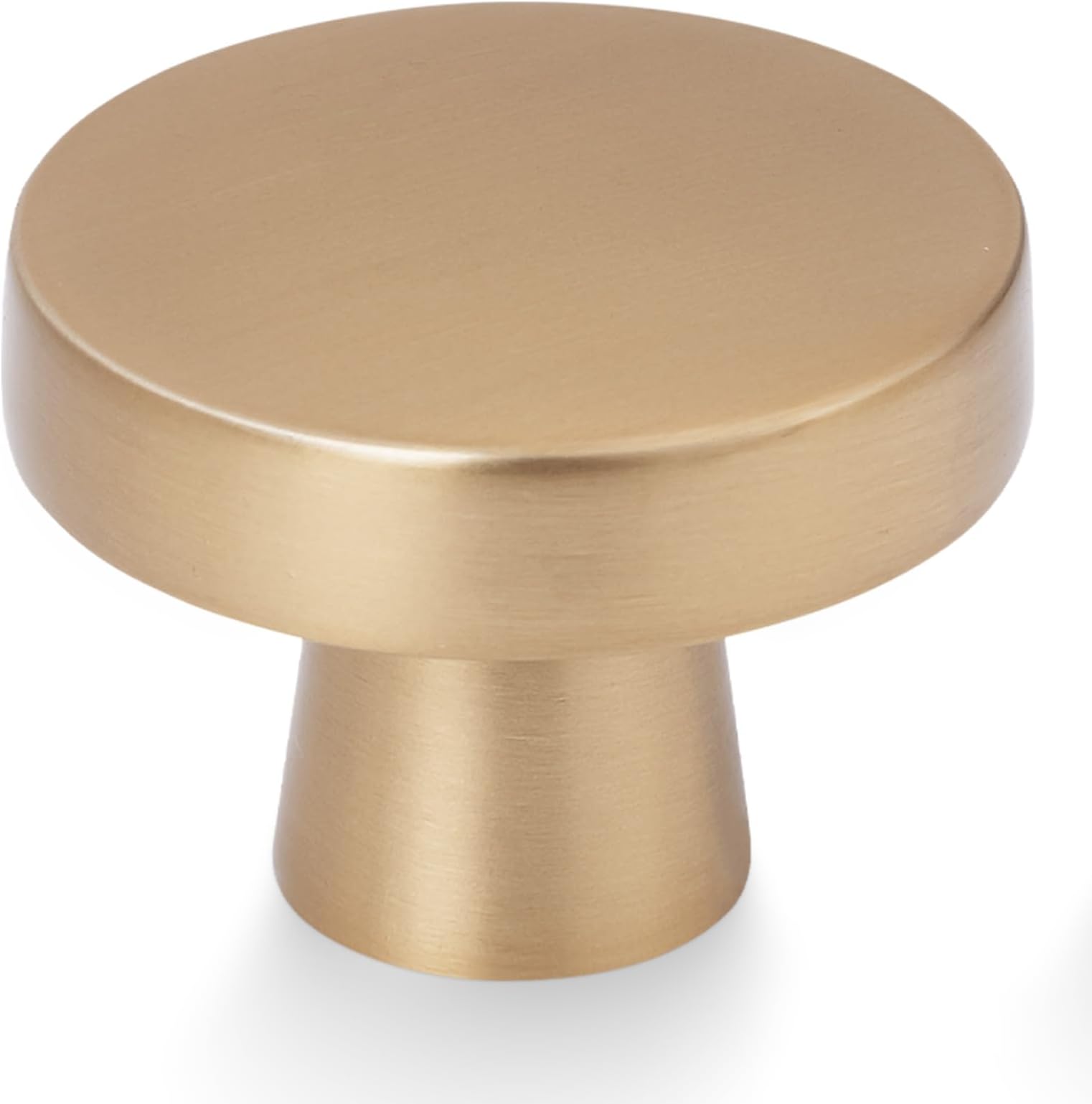 10 Pack Cabinet Knobs - Champagne Bronze Zinc Alloy Drawer Knobs for Kitchen Hardware