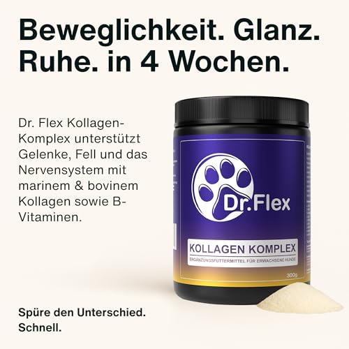 Dr. Flex Kollagen B‑Komplex Pulver für Hunde, Hochdosiert für Gelenke, Knorpel, Muskeln Vitalität mit Rinder Meereskollagen, Glucosamin, Hyaluronsäure essenziellen Vitaminen