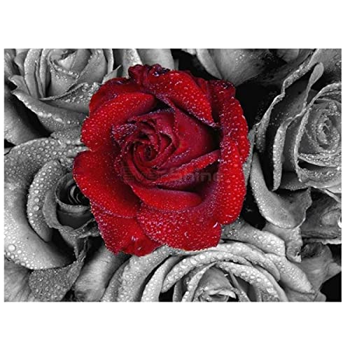 Point de Croix Kit Rose Toile Imprimée Broderie Facile Sans Compter