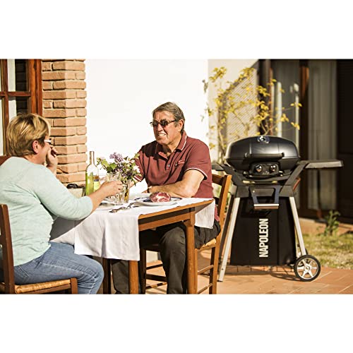Image of Napoleon TravelQ PRO285 Portable Natural Gas Grill, Black, 2 Burners, Tailgating, Camping, and Small Outdoor Spaces
