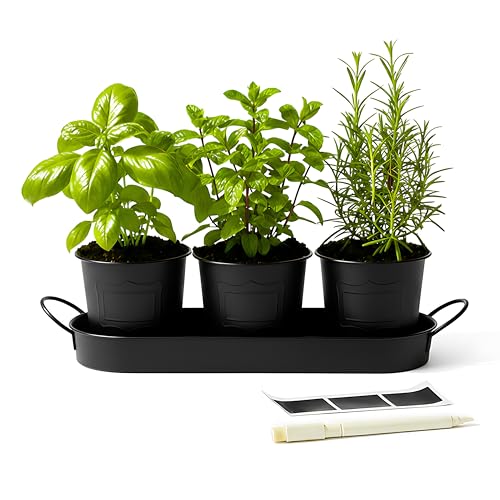 DIVCHI Metal Herb Planter Pots Set of 3 with Tray & Chalk Labels – Indoor Herb Garden Kit for Kitchen Windowsill – Decorative Herb Pots for Basil, Mint, Rosemary – Indoor & Outdoor Use (Black)