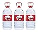 Lanjaron Agua mineral 3 x 6250 ml (caja de 3 botellas; total 18750 ml).