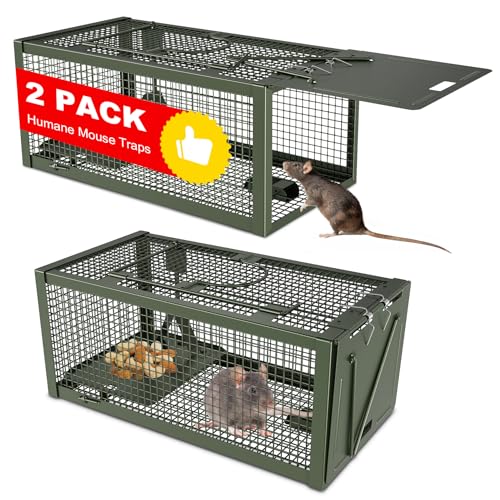 2 PCS Humane Mouse Rat Traps, Mice Chipmunk Squirrel Traps, and Other Live Animal Cage Catch and Release for Indoor and Outdoor-Green
