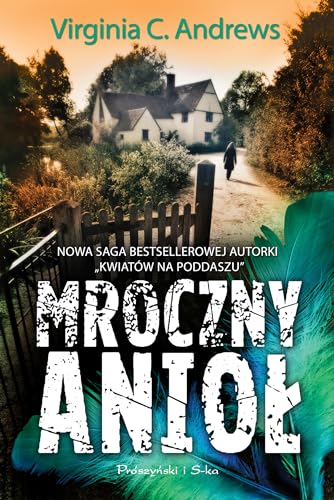 Mroczny aniol (Polska Wersja Jezykowa) [Polish] 8378397246 Book Cover