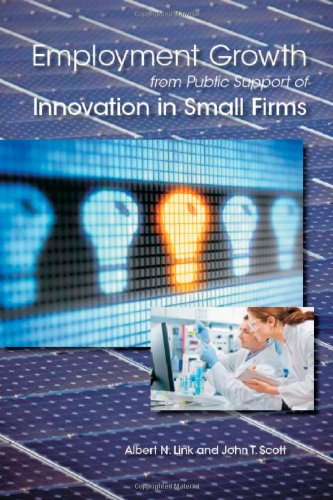 Buy Employment Growth from Public Support of Innovation in Small Firms โ BookShops.in