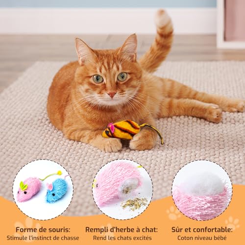 Jouets pour Chat, Paquet de 14 Jouets Chat interactifs, y Compris Une Balle pour Chat, Jouet à Ressort pour Chaton Adulte d'intérieur, Jouets à Herbe à Chat pour Chats à mâcher et Nettoyer Les Dents – Image 3