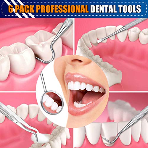 Dental Tools, 6 Pack Teeth Cleaning Tools Stainless Steel Dental Scraper Tooth Pick Hygiene Set with Mouth Mirror, Tweezer Kit for Dentist, Family Oral Care, Dogs - with Leather Case