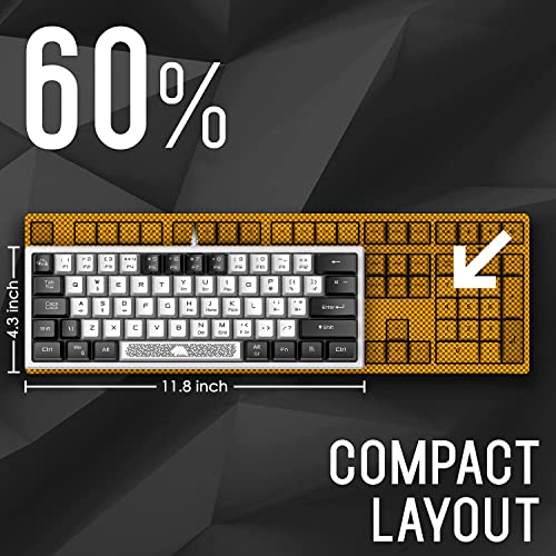 Image of XINMENG 60% Wired Gaming Keyboard And Mouse Combo True Rgb Mini Mechanical Feel Ultra-Compact Keyboard And Rgb 6400 Dpi Honeycomb Optical Mouse,Gaming Mouse Pad For Windows Mac Laptop Pc Gamer