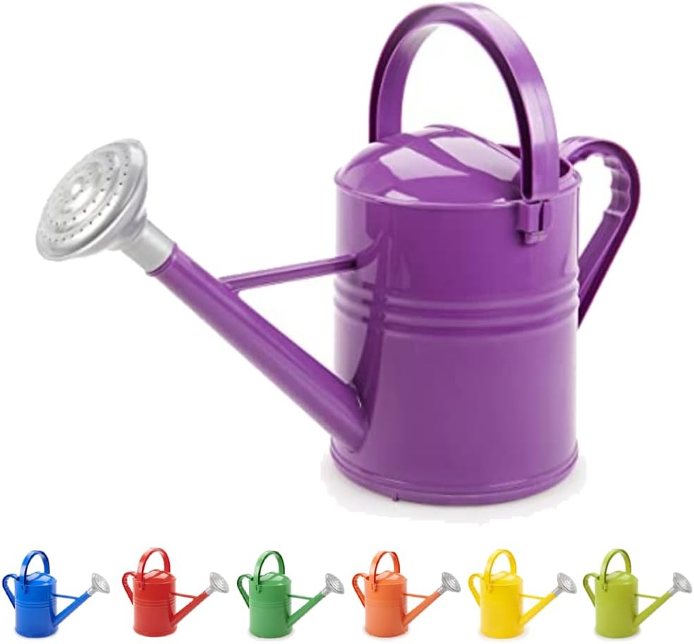 COLOURWAVE CW-153-P Plum Purple Watering Can, Holds up to 1.5 US Gallon (5.8 Liters), Ergonomic Double Handle and Leak-Proof Design : Patio, Lawn & Garden
