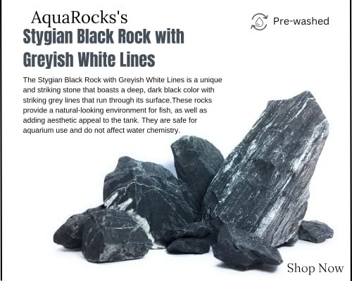 Image of Stygian Black Rock with Greyish White Lines for Aquarium Decoration, Reef Tank Setup, Terrarium, Hardscape Creation, etc (Colour: Obsidian Black, 1.8kg)