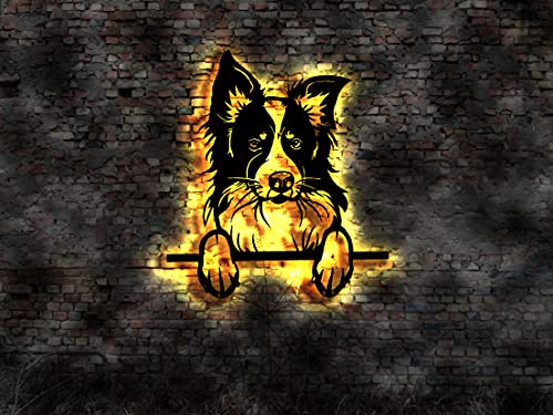 Tableau LED Border Collie en bois, finition artisanale pour décoration chien
