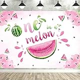 Picture of One in a Melon Photography Backdrop Watermelon 1st Birthday Photo Background Summer Fruit Girl's Themed First Birthday Baby Shower Party Supplies Photo Studio Props Decorations Banner