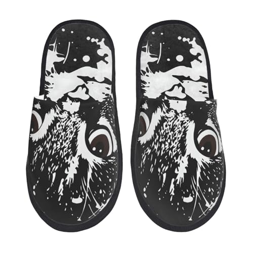 [zhandiffy] lR˂ L [V[YXbp ÉᔽEpXbp L