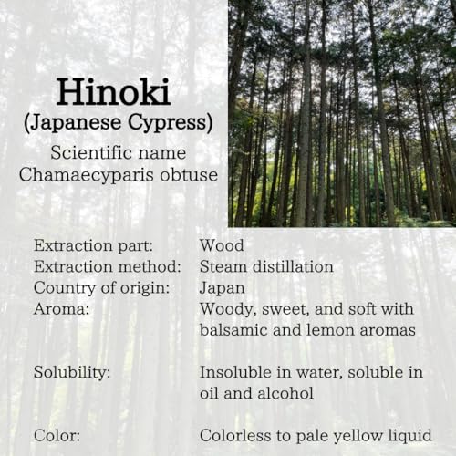 Aceite Esencial Hinoki 100% Puro Ciprés Japonés 10ml miniatura 5