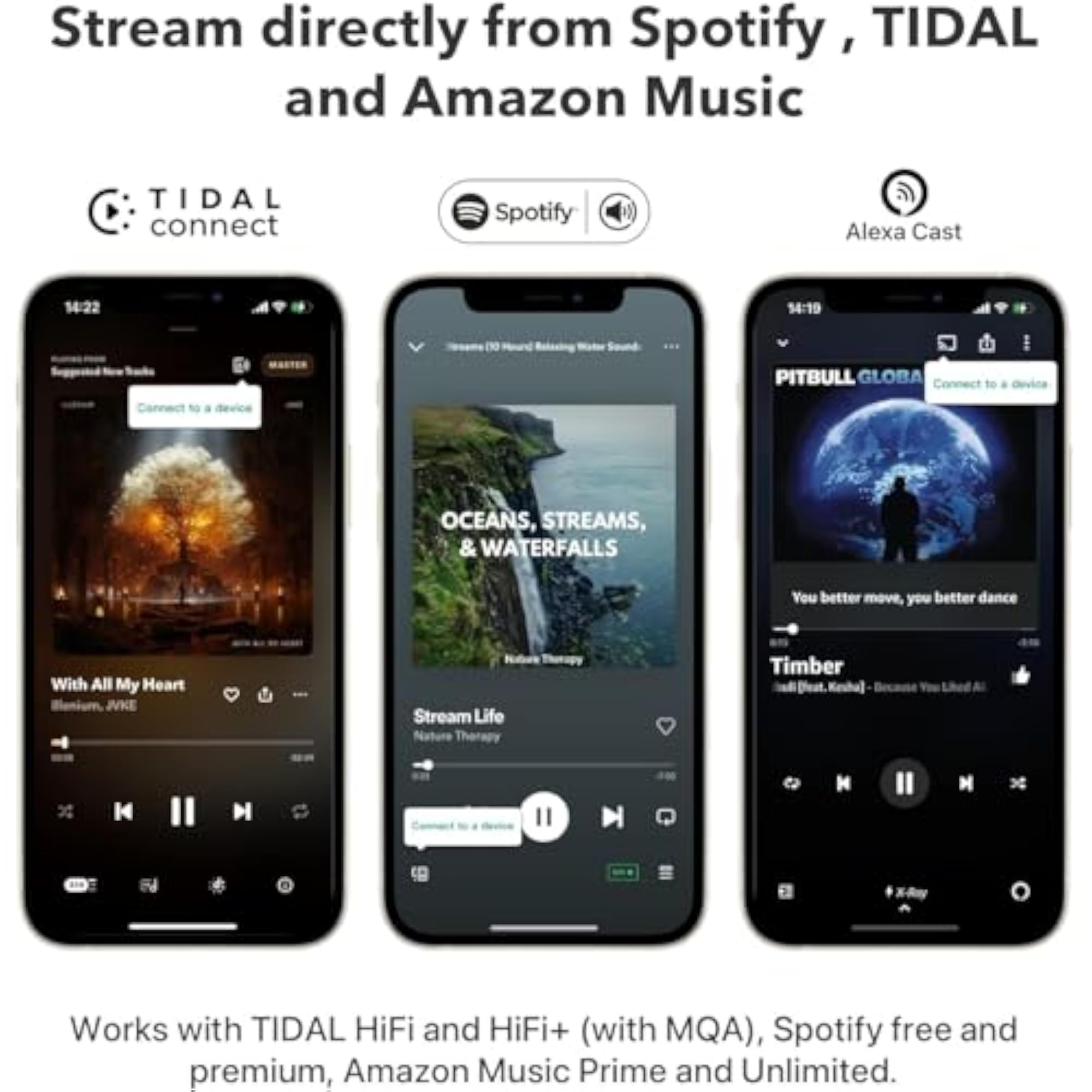 Pro AirPlay 2 Receiver, Multiroom Streamer