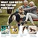 Marnonsis Dog Leg Braces for Back Leg, Adjustable Dog Knee Brace for Torn Acl Hind Leg with 4 Stabilizers, Hip Support to Reduces Pain, Ligament Injuries & Luxating Patella for Small Medium Large Dogs