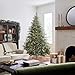 National Tree Company Pre-Lit 'Feel Real' Artificial Full Christmas Tree, Green, Frasier Grande, White Lights, Includes Stand, 7.5 Feet