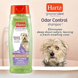 HARTZ-Groomers-Best-Odor-Control-Dog-Shampoo - Cucciolini Doodles   HARTZ-Groomers-Best-Odor-Control-Dog-Shampoo