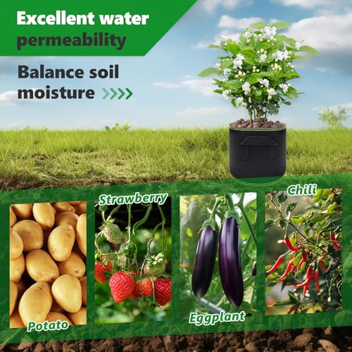 CHIHOLEN 4 Stück 6L Pflanzsack,Vliesstoff Pflanztasche mit Griffe für Kartoffeln, Tomaten und Erdbeeren, für Balkon Terrasse Gewächshaus & Garten - 2 Gallonen