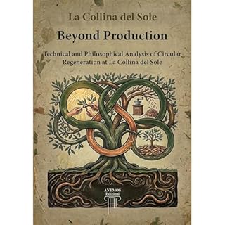 Beyond Production Audiobook By La Collina del Sole cover art