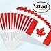 Anley Canada Mini Flag 12 Pack - Hand Held Small Miniature Canadian Flags on Stick - Fade Resistant & Vivid Colors - 5x8 Inch with Solid Pole & Spear Top