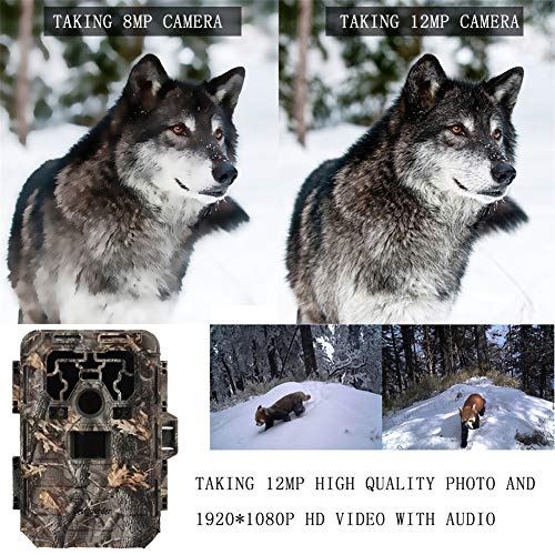 Wildkamera Fotofalle Jagdkamera Trail Wildlife Kamera Spielkameras HD Nachtsicht Jagd Kamera 12MP Digital Trail Kamera… – Bild 5