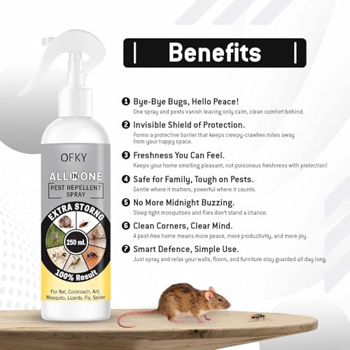 Image of Aifanciey Natural All-in-One Insect Spray | Herbal Indoor Bug Control | Bedbugs, Ants, Mosquitoes, Cockroach, Rat, Lizard, Bedbugs, Spider | Snake & Roaches Treatment | Safe for Home Use