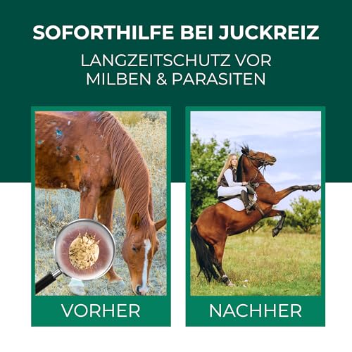 Silberkraft Milbenspray Pferde 500 ml, Effektiver Milbenschutz & Parasitenabwehr, Soforthilfe bei Juckreiz, Langzeitschutz gegen Milben, Flöhe & Läuse, wirksame Formel zur Insektenabwehr