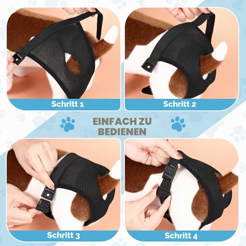 3er Pack Läufigkeitshose für Hündinnen mit 9 Damenbinden, Schwarz, XL
