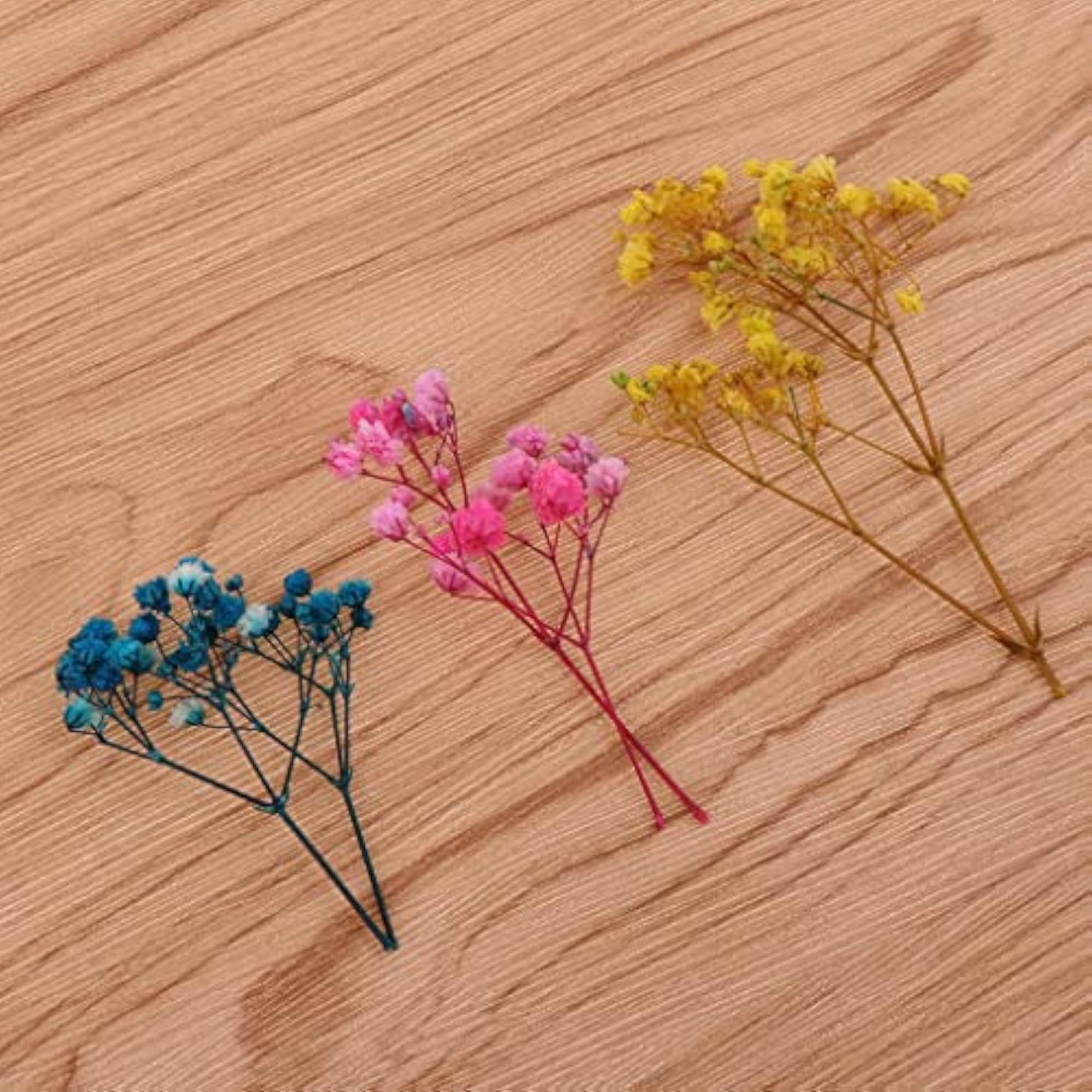 3xPressed Leaves Natural Dried Flowers for Scrapbooking